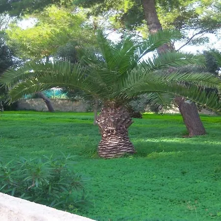 Vila - Plemmirio *