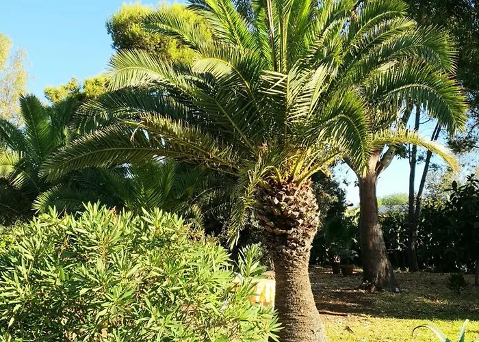 וילה - Plemmirio